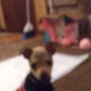 Meet your Posher, Joseph